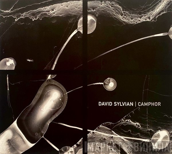 David Sylvian  - Camphor