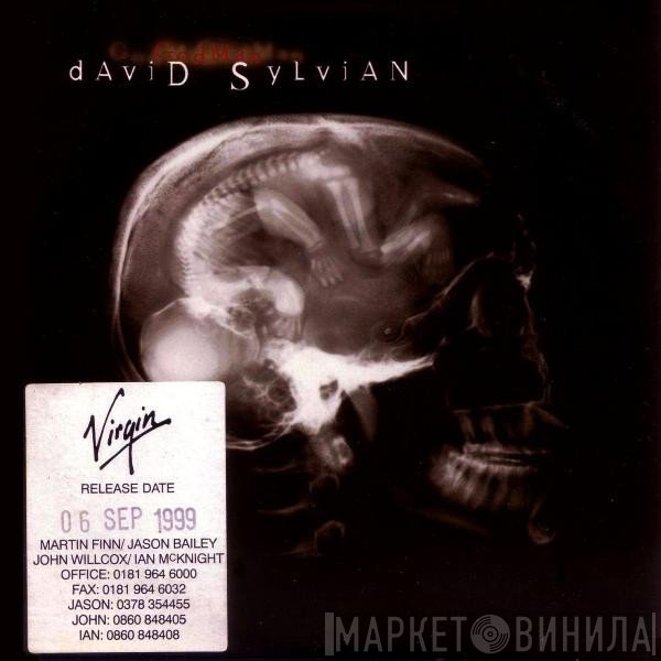 David Sylvian - Godman