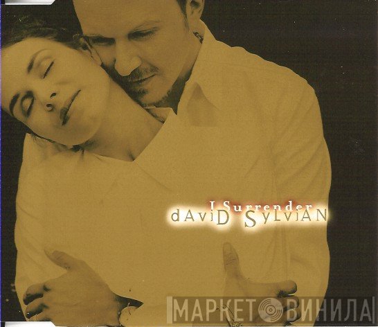 David Sylvian  - I Surrender