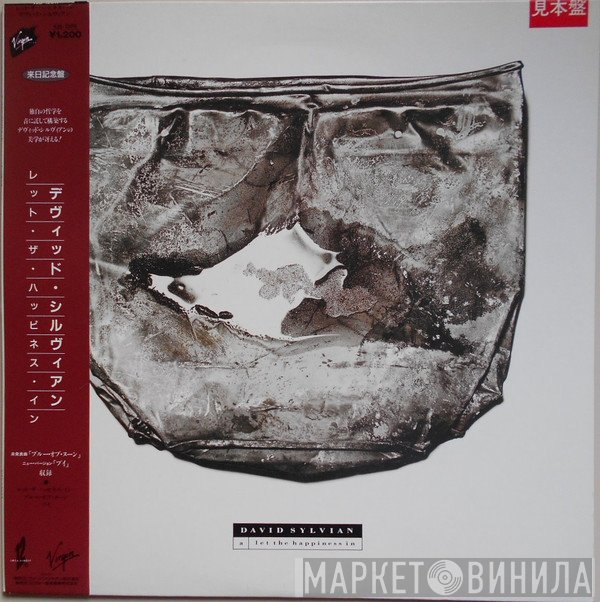 David Sylvian  - Let The Happiness In