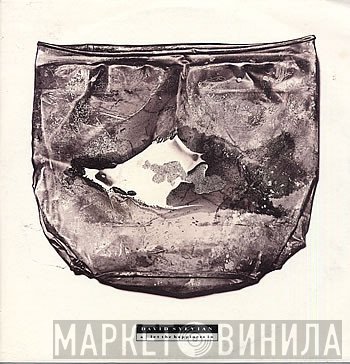 David Sylvian  - Let The Happiness In