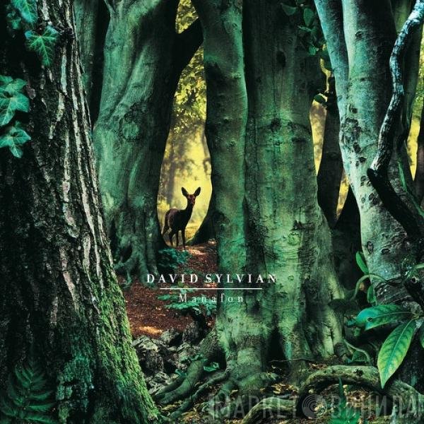 David Sylvian - Manafon