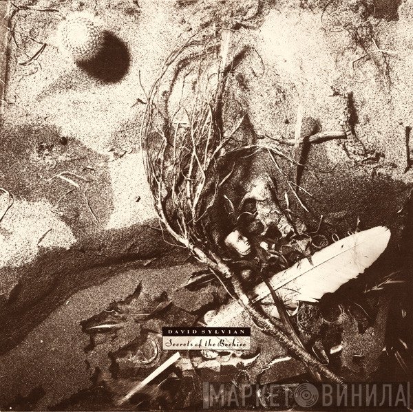 David Sylvian  - Secrets Of The Beehive