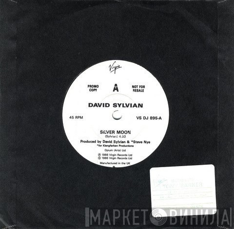 David Sylvian  - Silver Moon