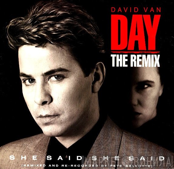 David Van Day - She Said She Said (The Remix)