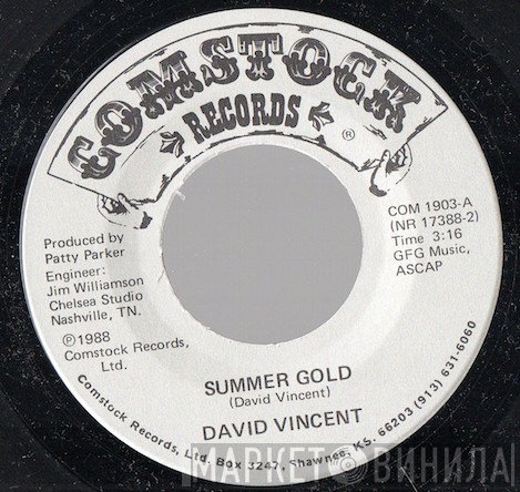 David Vincent  - Summer Gold / Right Now
