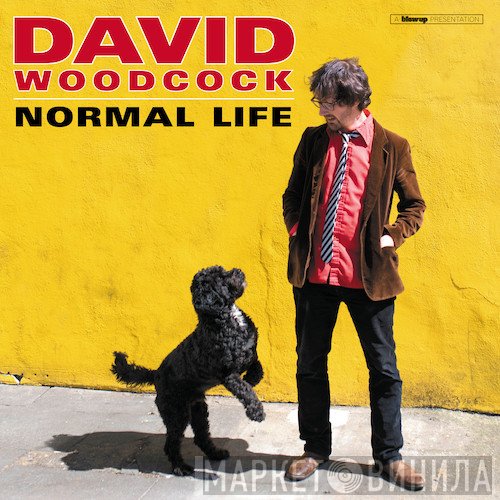 David Woodcock  - Normal Life