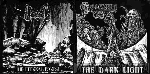 Dawn , Pyphomgertum - The Dark Light / The Eternal Forest