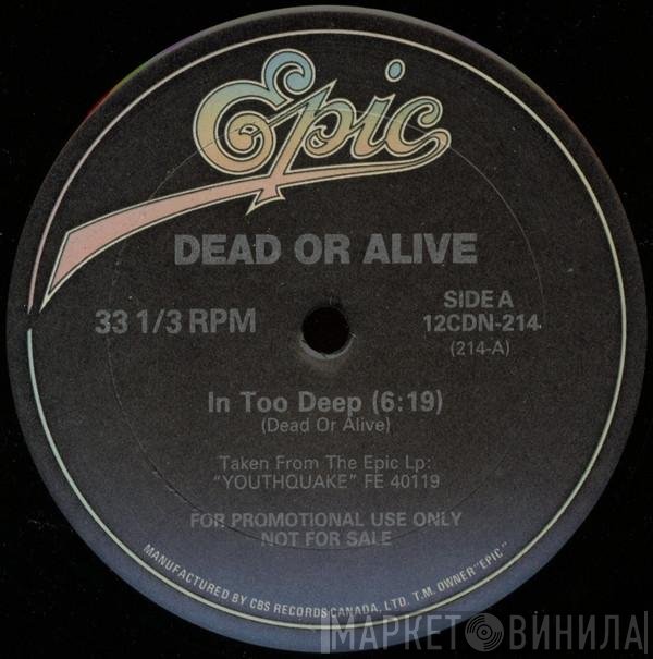 Dead Or Alive  - In Too Deep / Lover Come Back To Me