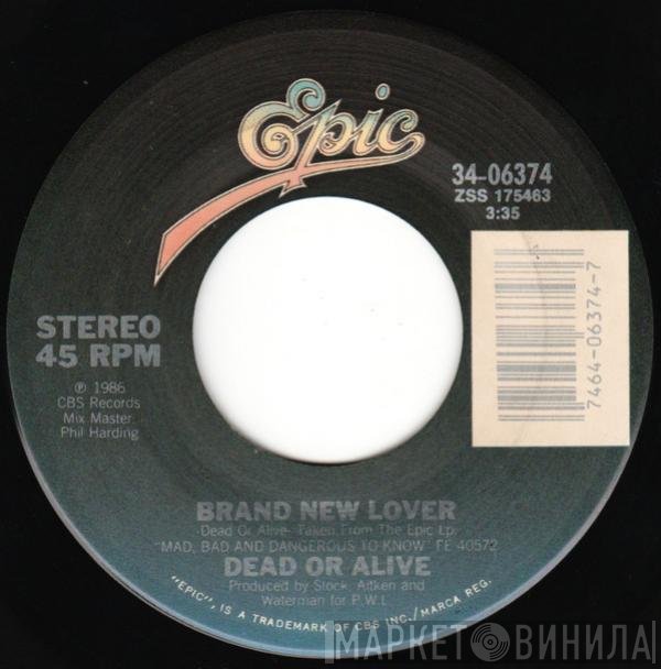 Dead Or Alive - Brand New Lover