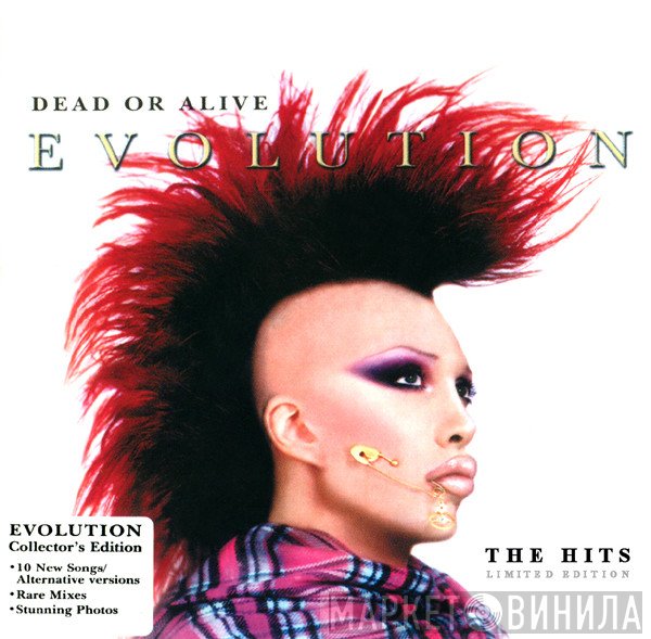 Dead Or Alive  - Evolution: The Hits