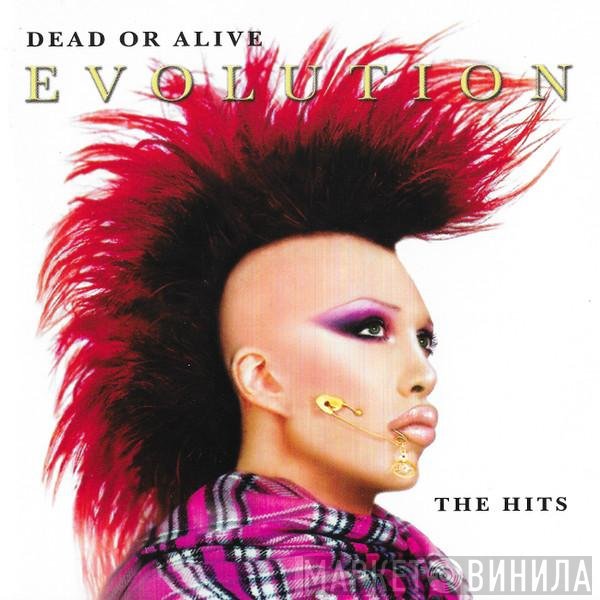 Dead Or Alive  - Evolution - The Hits