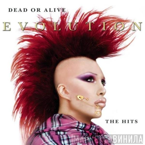 Dead Or Alive  - Evolution - The Hits