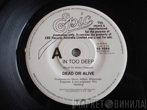 Dead Or Alive  - In Too Deep