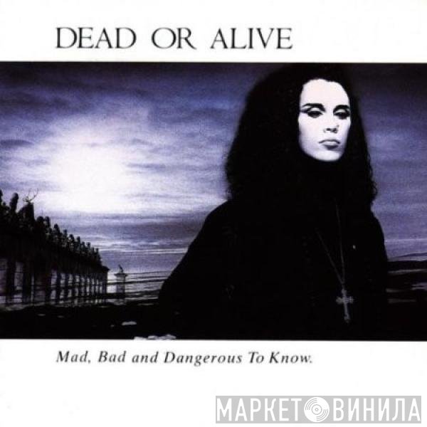 Dead Or Alive - Mad, Bad, And Dangerous To Know