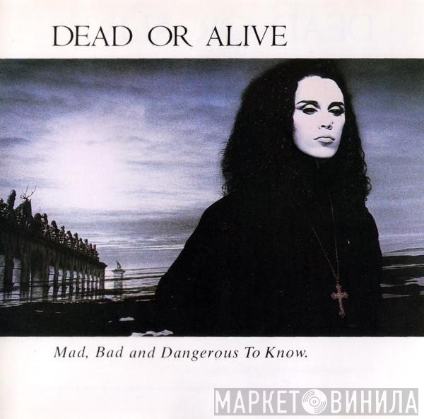 Dead Or Alive  - Mad, Bad And Dangerous To Know