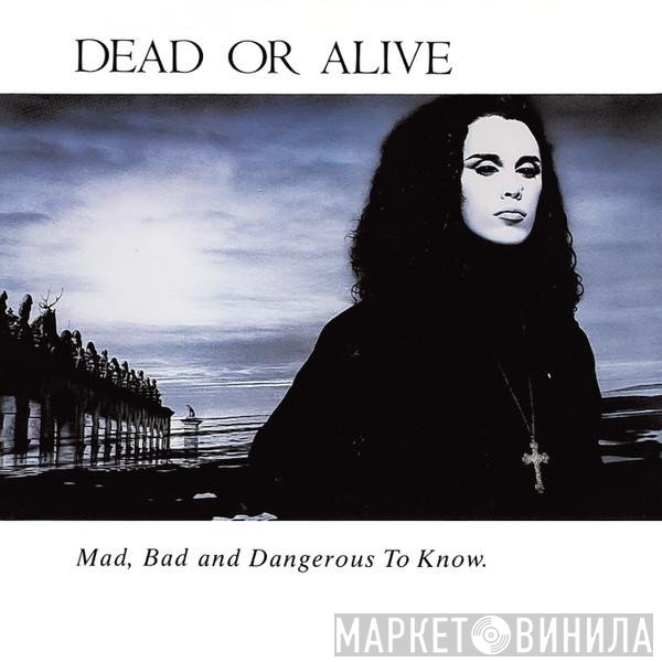 Dead Or Alive - Mad, Bad And Dangerous To Know