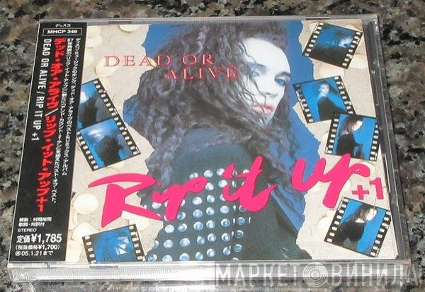 Dead Or Alive  - Rip It Up +1