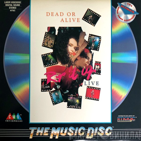 Dead Or Alive  - Rip It Up Live