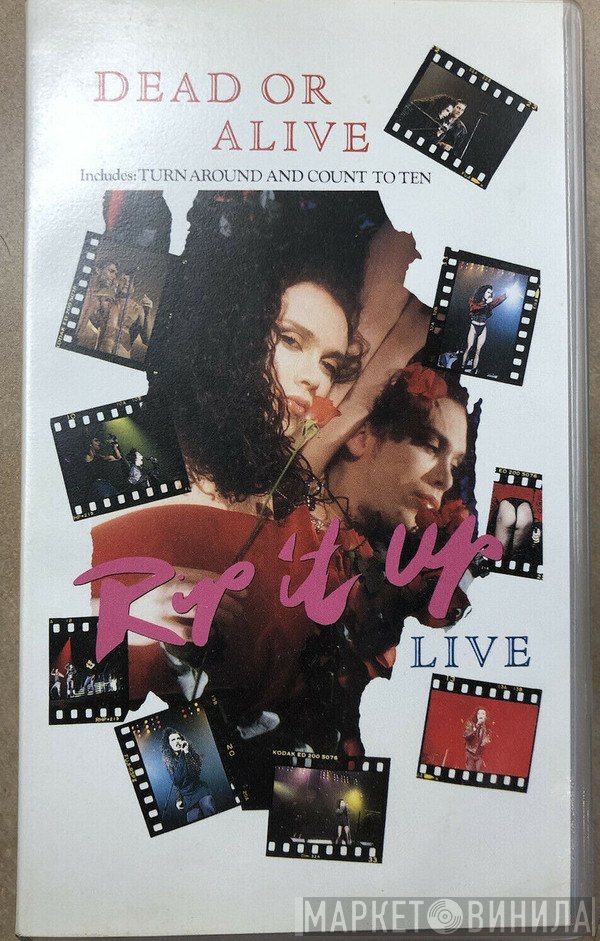 Dead Or Alive  - Rip It Up Live