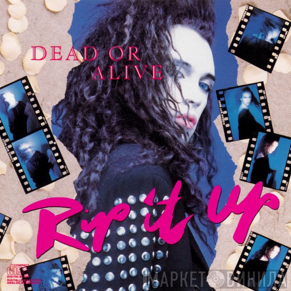 Dead Or Alive  - Rip It Up