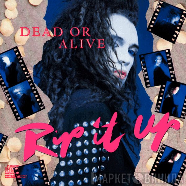 Dead Or Alive  - Rip It Up