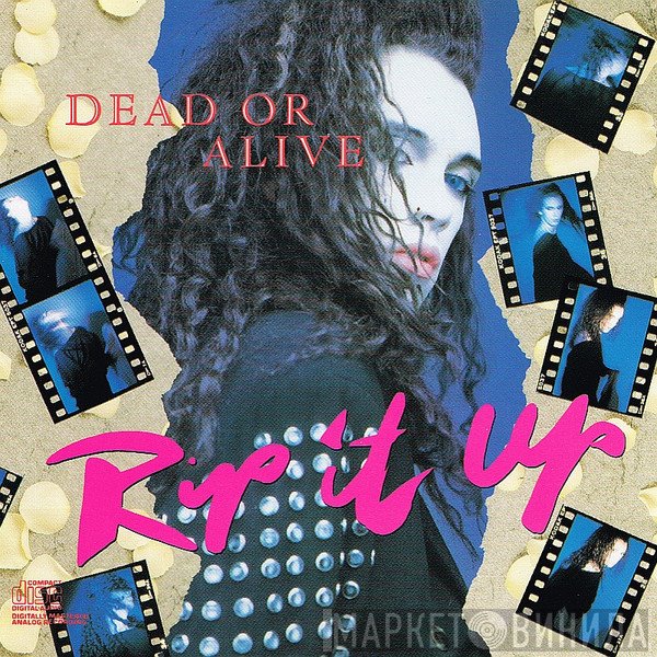 Dead Or Alive  - Rip It Up