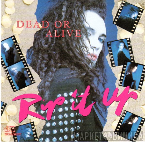 Dead Or Alive  - Rip It Up