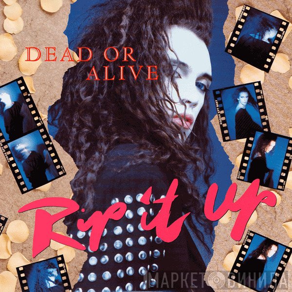 Dead Or Alive  - Rip It Up