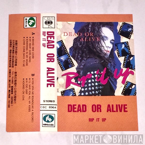 Dead Or Alive  - Rip It Up