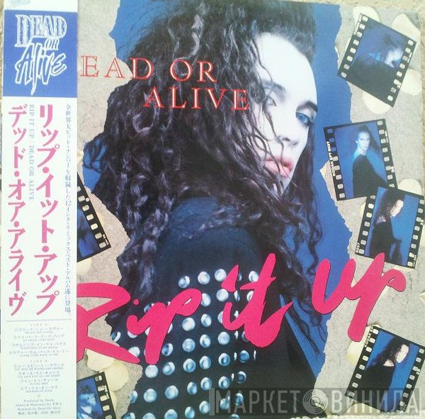 Dead Or Alive  - Rip It Up