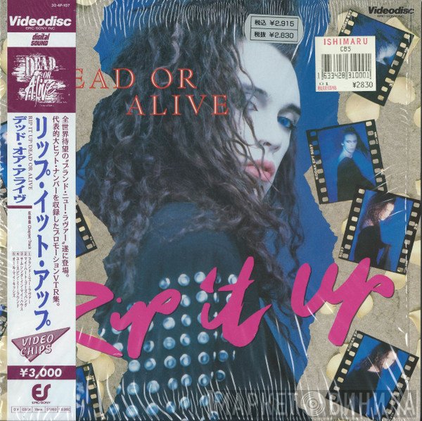 Dead Or Alive  - Rip It Up
