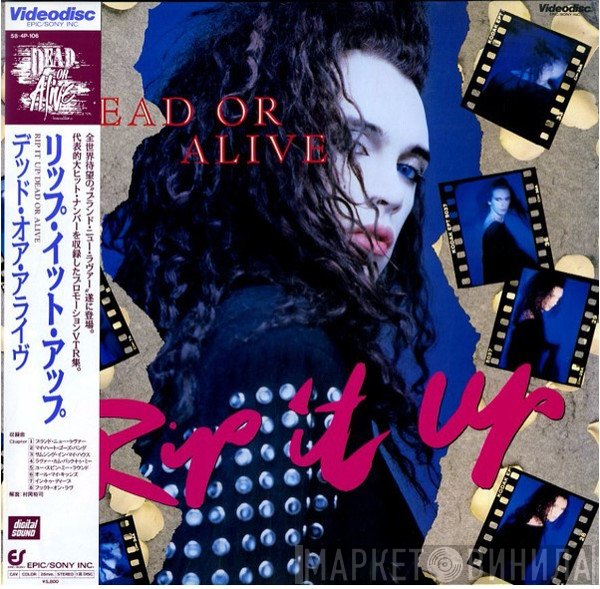 Dead Or Alive  - Rip It Up