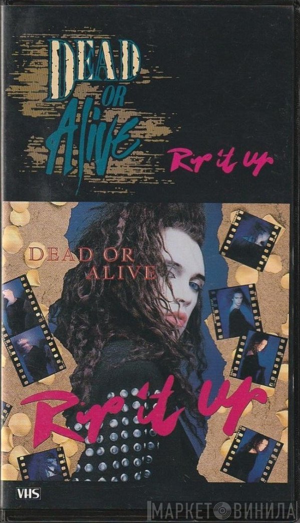 Dead Or Alive  - Rip It Up