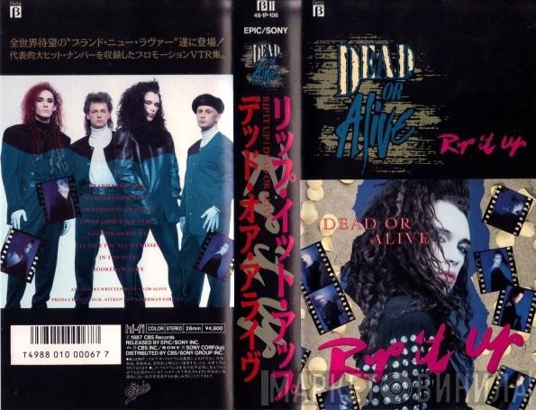 Dead Or Alive  - Rip It Up