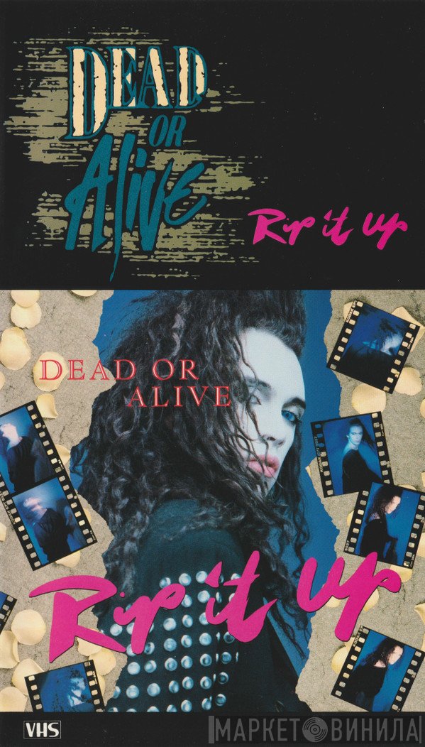 Dead Or Alive  - Rip It Up
