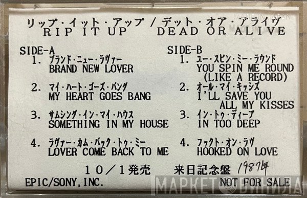 Dead Or Alive  - Rip It Up