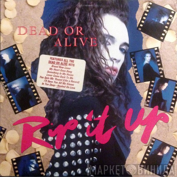 Dead Or Alive  - Rip It Up