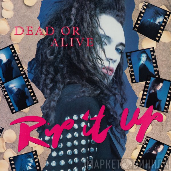Dead Or Alive  - Rip It Up