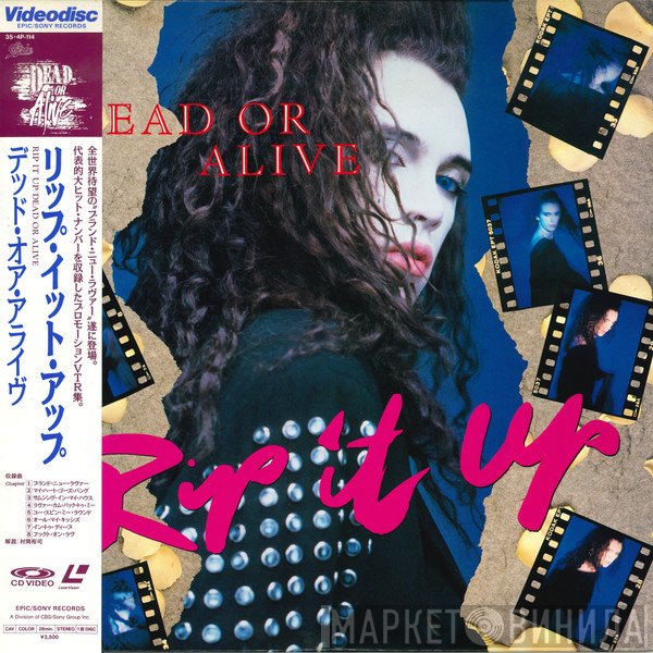 Dead Or Alive  - Rip It Up