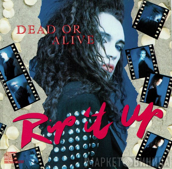 Dead Or Alive  - Rip It Up