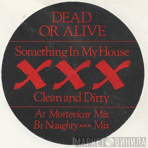 Dead Or Alive - Something In My House (XXX Clean And Dirty)