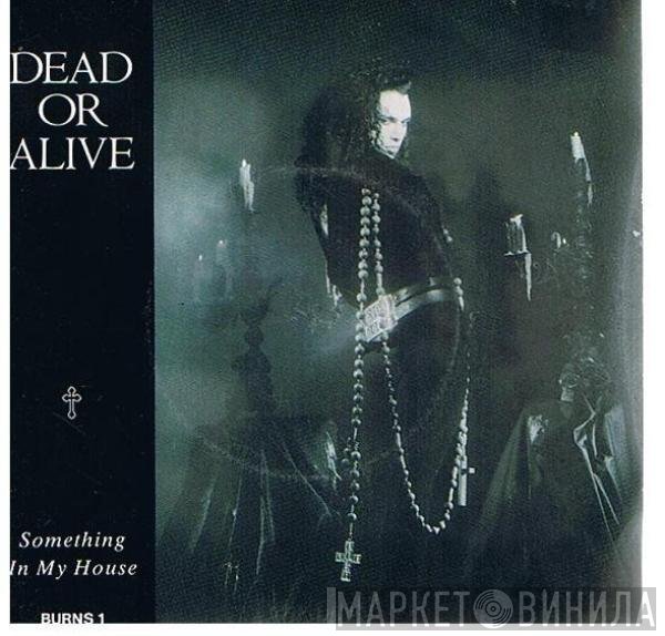 Dead Or Alive - Something In My House