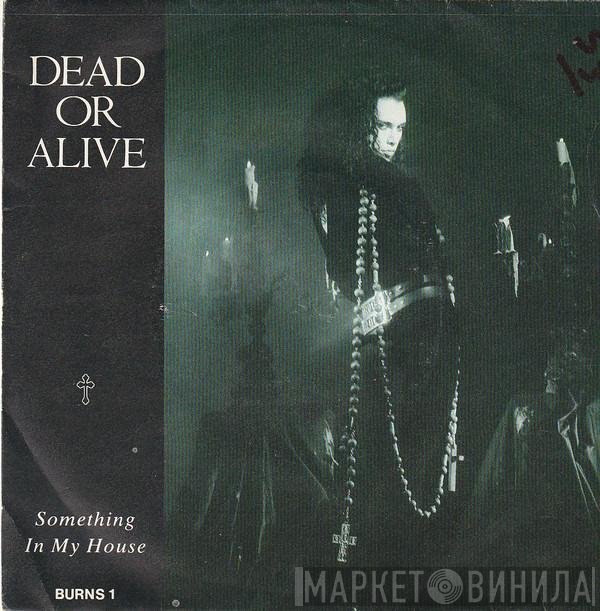Dead Or Alive  - Something In My House