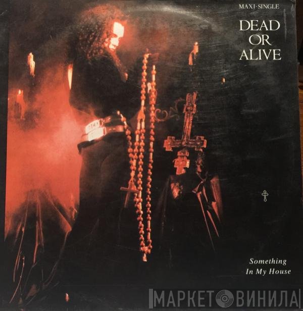 Dead Or Alive  - Something In My House