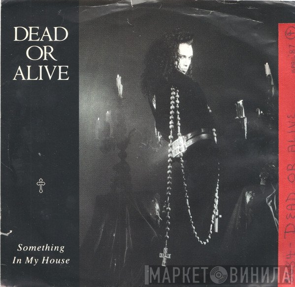 Dead Or Alive  - Something In My House