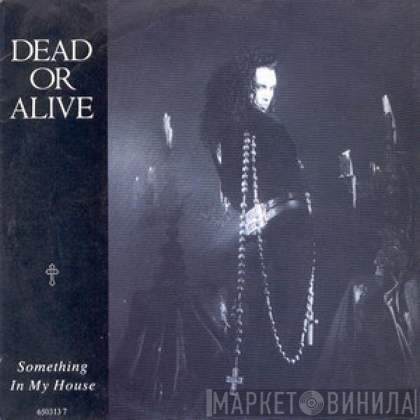 Dead Or Alive  - Something In My House