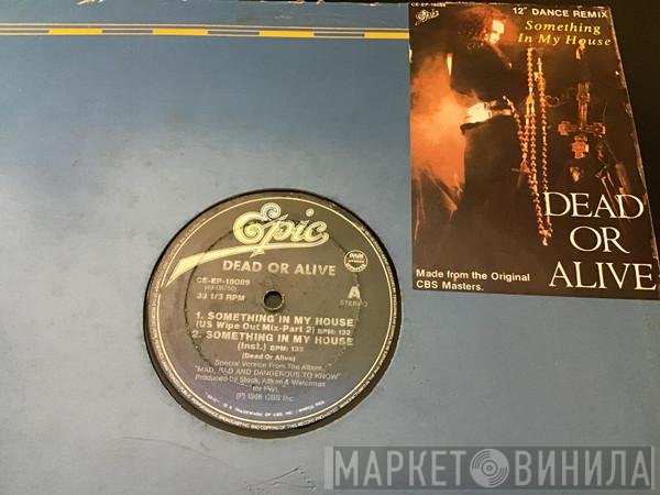 Dead Or Alive  - Something In My House
