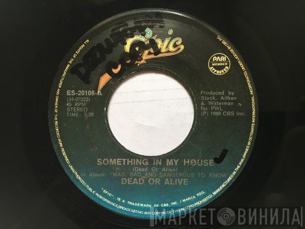 Dead Or Alive  - Something In My House