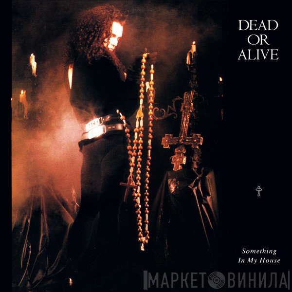 Dead Or Alive  - Something In My House